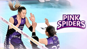 흥국생명, 도로공사에 대역전승&hellip;'다시 선두 추격'