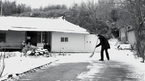 장동혁 "노모, 날 풀리면 서울에 50억 아파트 구경 가겠다고 해"