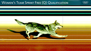 크로스컨트리 경기 난입한 반려견, 결승선 통과에 환호