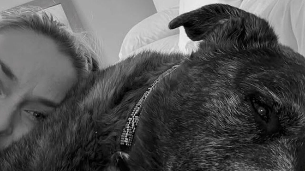 린지 본, 반려견과 작별 "낙담한 날 일으켜줬다"