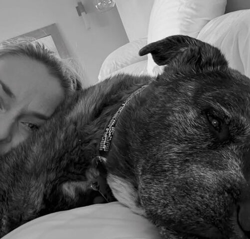 반려견 레오의 죽음을 전한 린지 본의 인스타그램 (사진=린지 본 인스타그램 캡처, 연합뉴스)