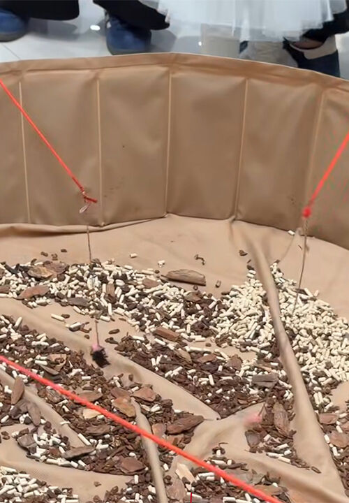 사슴벌레 낚시 (사진=스레드 캡처, 연합뉴스)