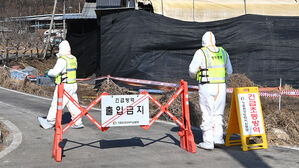 경기 고양 한우농가서 구제역 발생&hellip;올해 두 번째