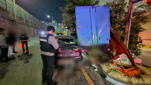 갓길에 차 세우고 전화하던 운전자, 탑차에 치여 숨져