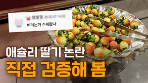 버려진 딸기 주워왔나요? 애슐리 딸기 논란 직접 검증해 봤습니다｜갓나온 맛도리 EP.164