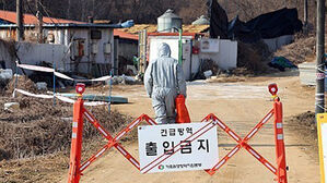 혈장단백질 원료 사료서 아프리카돼지열병 유전자&hellip;방역 강화