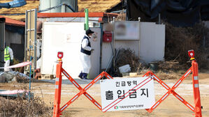 경남 합천 돼지농장서 아프리카돼지열병&hellip;올해 21번째 발생