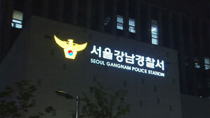 강남 거리서 고급차 '만취 뺑소니' 육군 병사 체포