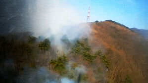 '산림청 수장 공백' 속 산불&hellip;건조한 날씨와 강풍에 난항