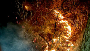 북한산 향로봉 인근 산불로 50평 소실&hellip;잔불 정리 중