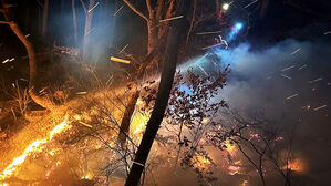 건조한 날씨 속 전국에 산불&hellip;함양 산불 진화 중