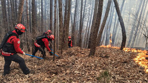 소방청 "함양 산불 진화 위해 국가소방동원령 발동"