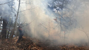 함양 산불 확산에 2차 소방동원령&hellip;산불전문진화차 추가 투입