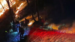 동시다발적 산불 '비상'&hellip;지난 토요일부터 전국 22건