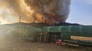 밀양 산불 확산에 국가소방동원령&hellip;요양병원&middot;민가로 번질 우려