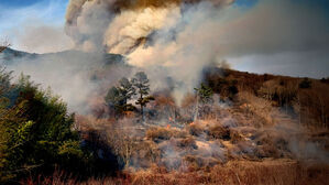 강풍 타고 확산, 밀양 산불에 '소방동원령'&hellip;주민 대피령