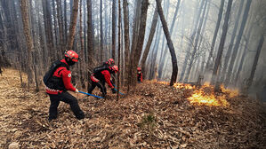 함양 산불 사흘 만에 큰불 잡혔다&hellip;재확산 가능성 '긴장'
