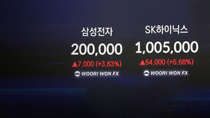 '육천피'도 눈앞에&hellip;'20만 전자&middot;100만 닉스' 달성