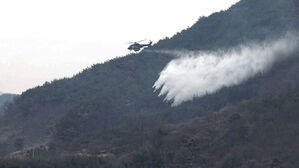 축구장 200개 잿더미&hellip;'단비' 덕에 주불 잡았다