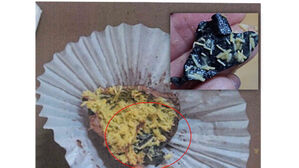 '두바이 쫀득 쿠키' 등 디저트 업체 위생 불량 81곳 적발