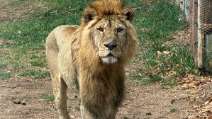 부산시 첫 공립 동물원 운영&hellip;2027년 재개장 추진