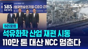 [D리포트] 석유화학 산업 재편 시동&hellip;110만 톤 대산 NCC 멈춘다