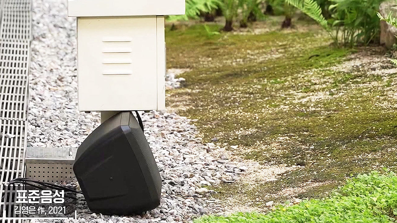 초대석 김영은 작가