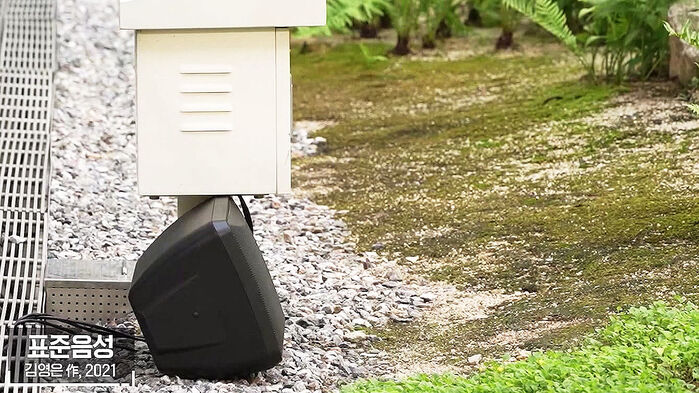 초대석 김영은 작가