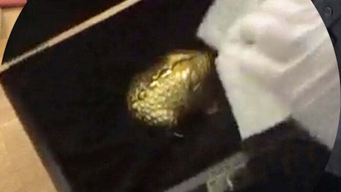 체납자 G씨 자택 수색에서 발견된 황금두꺼비 (사진=국세청 제공, 연합뉴스)