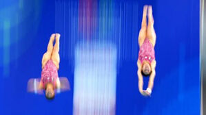 멕시코 다이빙 월드컵, 선수단 안전 우려로 취소