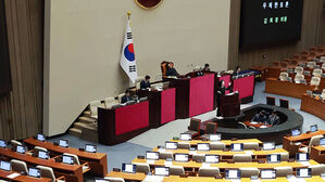 재판소원제 오늘 오후 표결 예정&hellip;다음은 대법관증원법