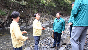 정부, 하천&middot;계곡 불법 점용시설 전면 재조사&hellip;고의 누락 '엄벌'