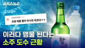 소주 도수 어디까지 내려가는 거예요↘ / 스브스뉴스