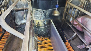 경북 의성 돼지 농장서 불&hellip;20여 분 만에 진화