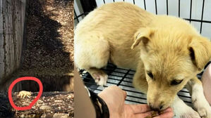 낭떠러지 위에서 공포의 사투&hellip;"목숨 걸어야" 극적 구조