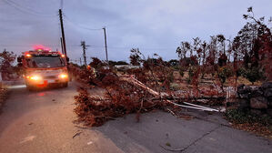 나무도 뚝, 간판도 뚝&hellip;3&middot;1절 연휴 제주 강풍 피해 속출