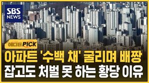 [에디터픽] 아파트 '수백 채' 거머쥐곤 배짱&hellip;잡고도 처벌 못 하는 단 한 가지 이유