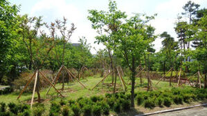 경기도, 264개 도시숲 37만 5천㎡ 조성&hellip;도시녹지관리원도 배치