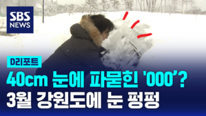 [D리포트] 강원 산간 60cm 넘는 폭설&hellip;산불 걱정 사라져