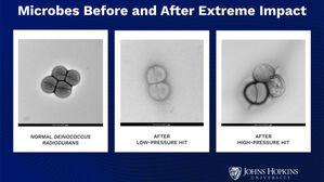 "생명체, 소행성 파편 타고 행성 간 이동&middot;생존할 수 있다"