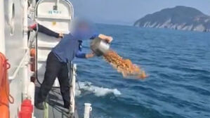 '지켜야 할 바다'에 쓰레기 투기한 경비정&hellip;통영해경, 전수 조사