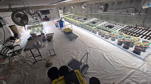 아기침대&middot;형광펜에 케타민 은닉하고 지하벙커 만들어 대마 재배