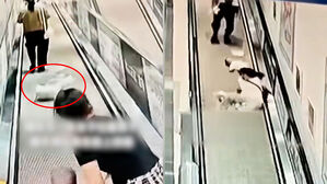 무빙워크에 두자 '스르륵'&hellip;아기 안은 엄마 봉변