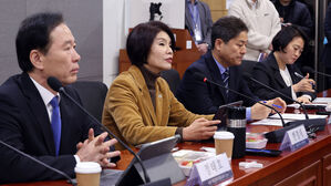 한정애 "중동 수출액 대폭감소 우려&hellip;100조대 시장 안정조치 준비"