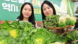 '봄동 비빔밥' 열풍에 봄철 농산물 집중 검사