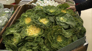 [친절한 경제] SNS 점령하자 품절까지&hellip;식품업계도 '들썩'