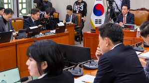 여야 "중동 재외국민 안전 조치 더 신속했어야" 정부 질타