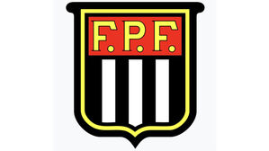 "심판이 여자라 졌다"&hellip;브라질 축구 선수, '성차별'로 12경기 출전 정지