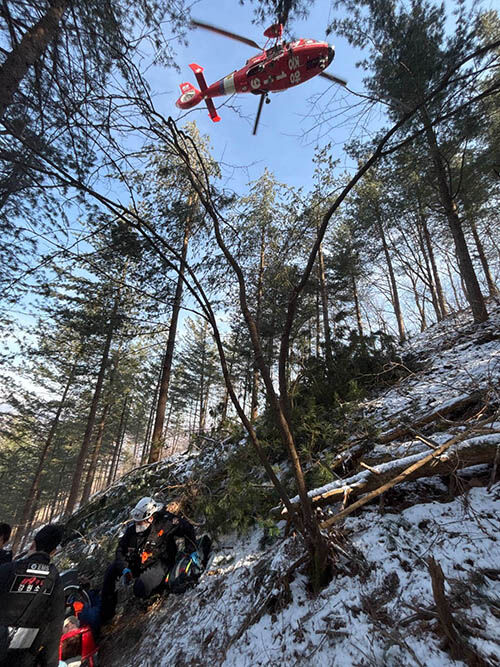 강원 인제군 간벌 작업 중 사고 현장 (사진=강원특별자치도소방본부 제공)