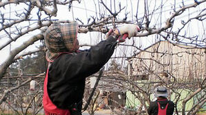 "잘린 손가락 들고&hellip;거의 매일 온다" 확 늘어나 경고